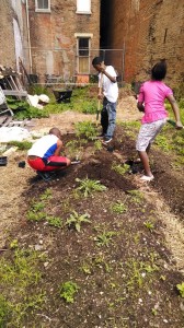 kids-plant-tomatoes