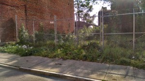 otr-west-garden-weeds-2