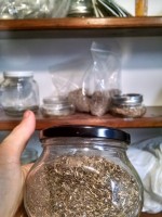 lettuce seed in a jar